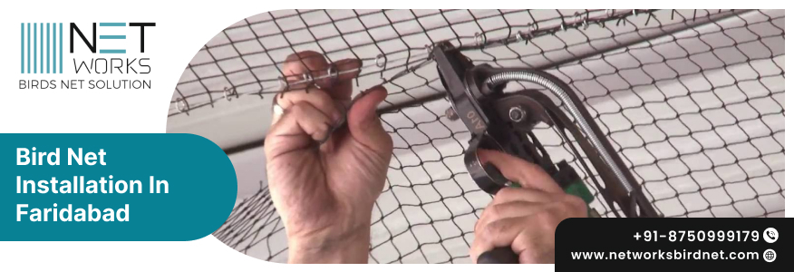 Trusted Bird Net Installation in Faridabad by Certified Contractors