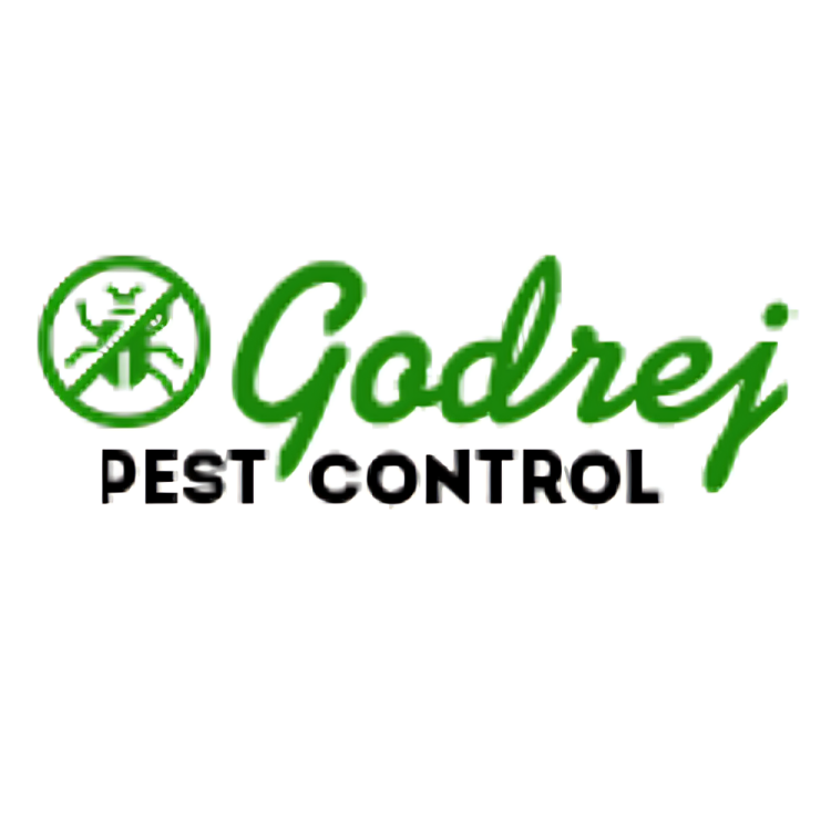 Pest Control Service in Faridabad – Trust Godrej Pest for Safe and Effective Solutions