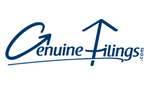 Income Tax Consultants in Budh Vihar, New Delhi – Genuine Filings