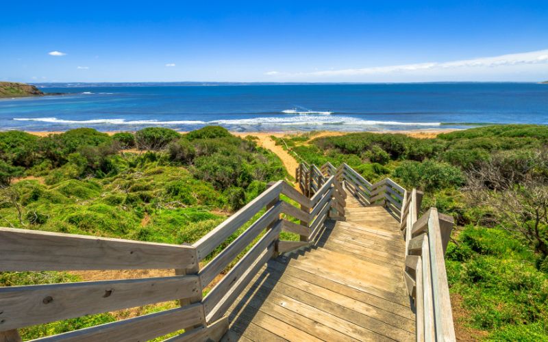 The Best Beaches on Phillip Island for Surfing, Swimming, and Relaxing: A Guide for Every Traveller