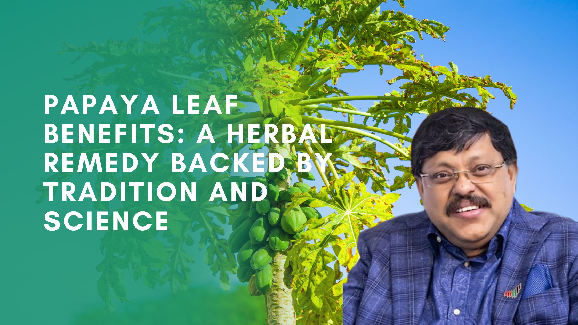 Papaya Leaf Benefits: A Herbal Remedy Backed by Tradition and Science