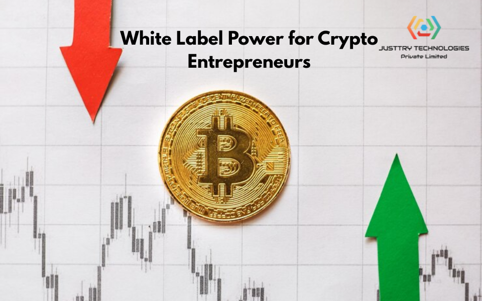 How Does White Label Crypto Exchange Software Help Crypto Entrepreneurs?