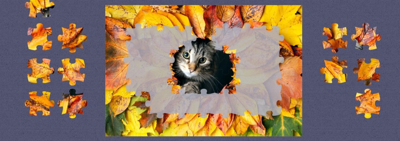 For Jigsaw Puzzle Lovers