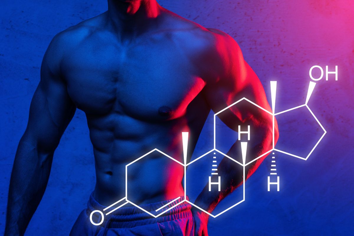 The Biological Role of Testosterone in the Body