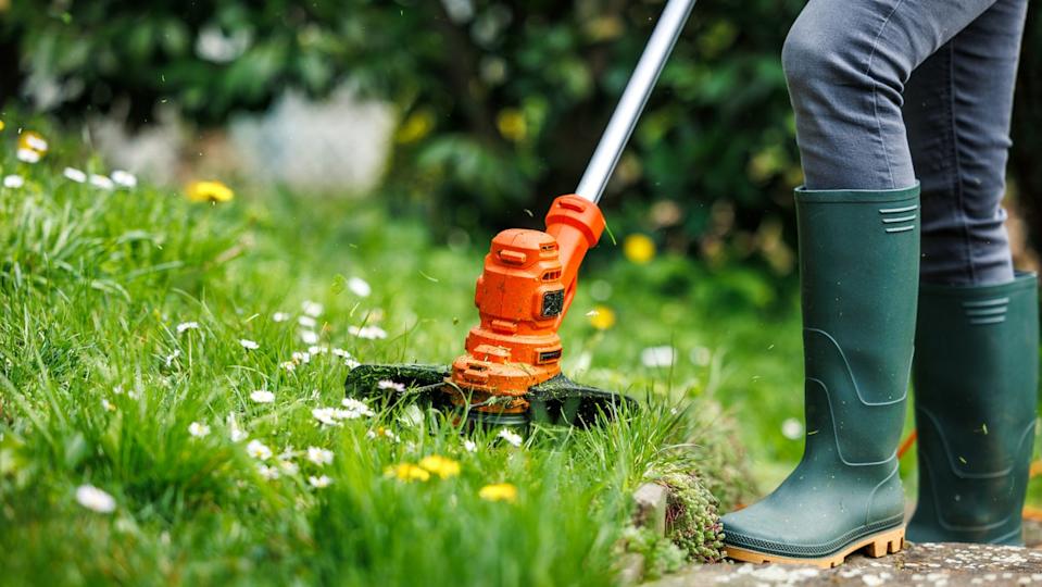 Kubota Corporation and the Switzerland Lawn Care Products Market: Strategy, Emerging Innovations, and Developments