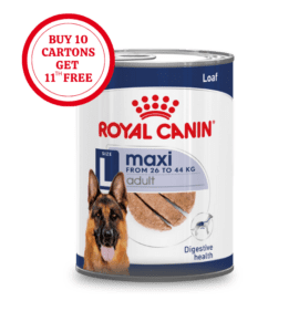 The valuable and amazing balanced nutrition dog food