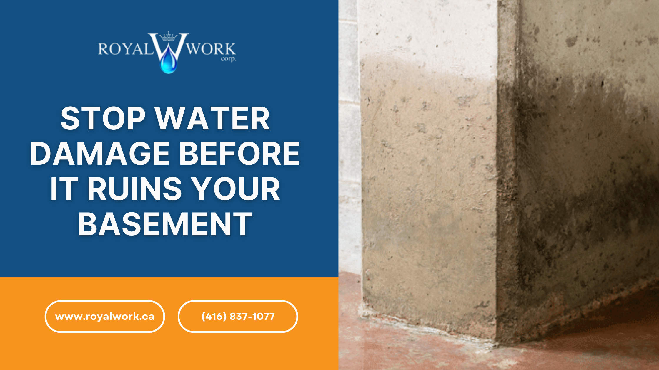 Stop Water Damage Before It Ruins Your Basement