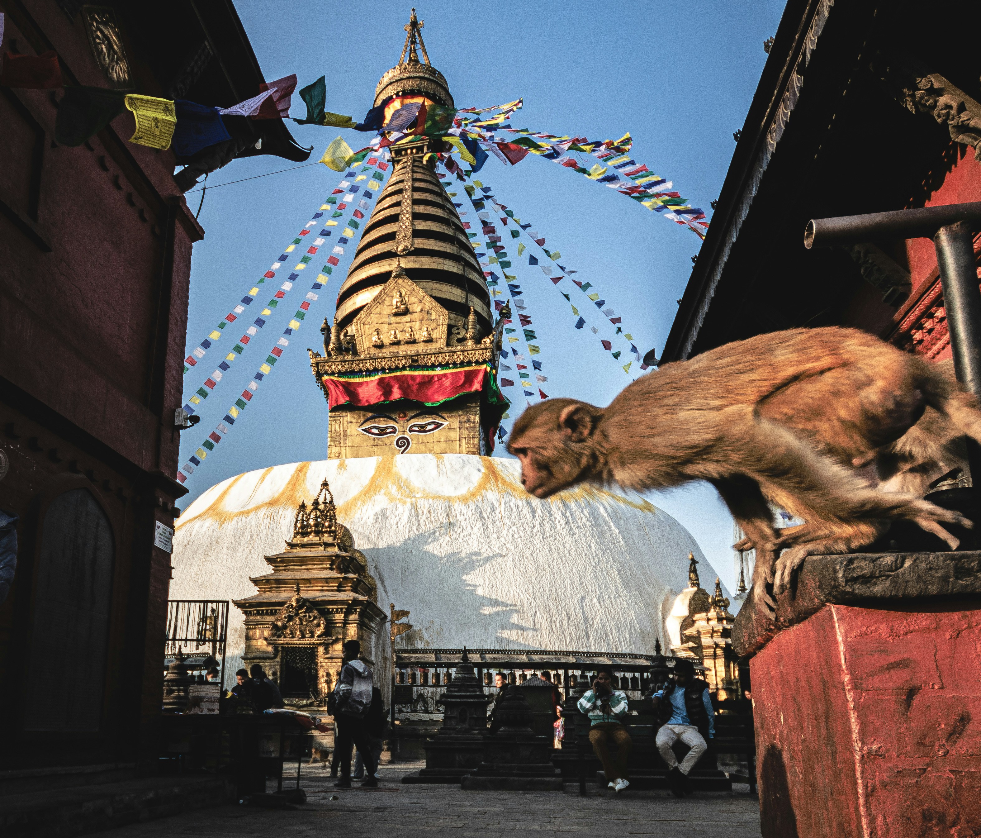 My Kathmandu Day Tour: Culture, Coffee & Crazy Streets