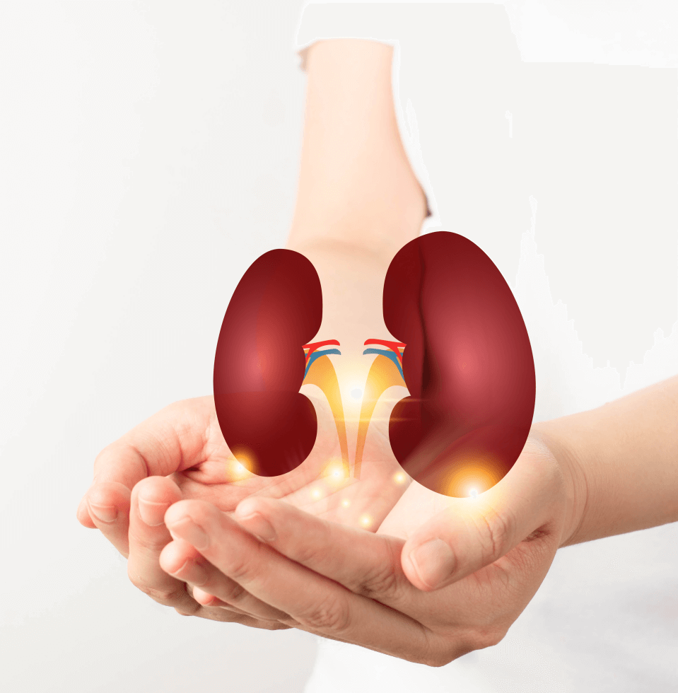 How do Surgeons Perform Kidney Transplants in India?