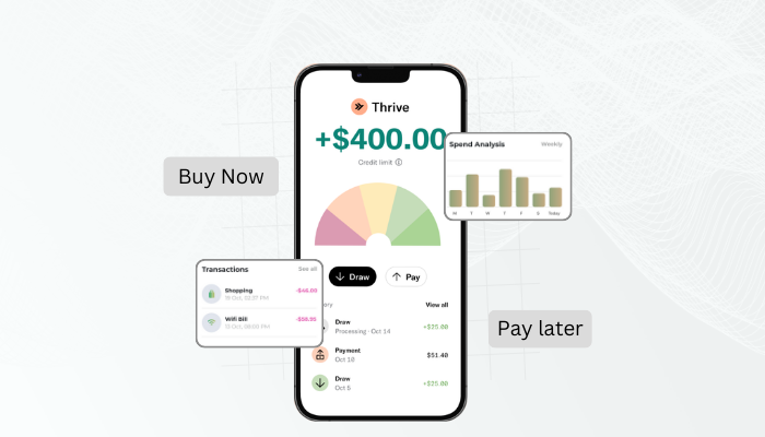 The Future of Fintech: Why Your Business Needs a Custom BNPL App?