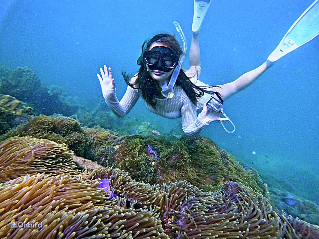 Experience the Best Snorkeling in Turks and Caicos