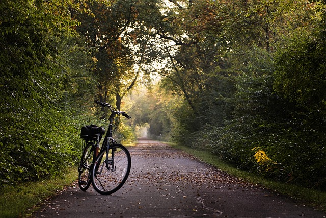 Why Arizona Should Be on Every Bikepacker's Bucket List