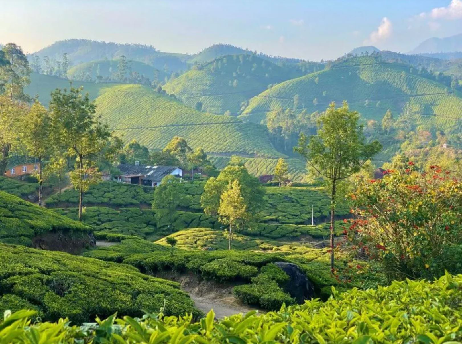 Discover the Charm of Darjeeling and Gangtok with the Perfect Tour Package