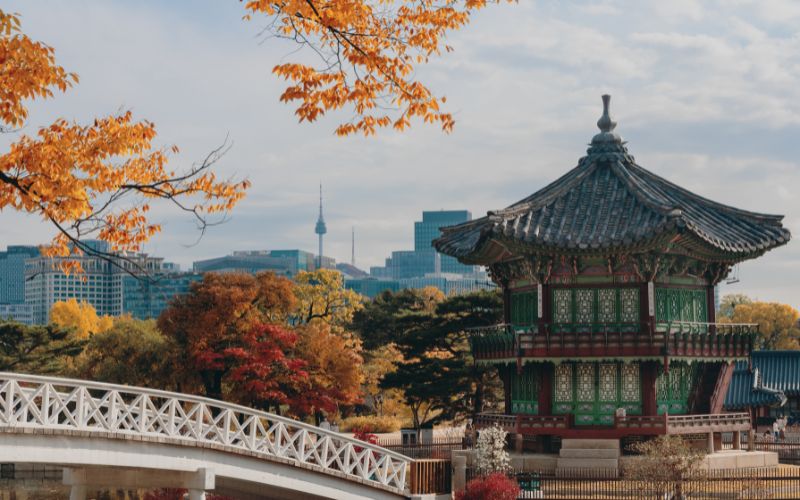 South Korea on a Budget: Travel Tips & Cost Breakdown