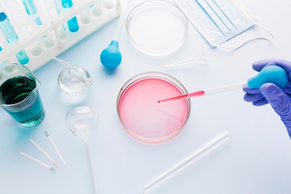 Vietnam In Vitro Diagnostics Market Size, Share, Growth, Trends and Forecast 2025-2033