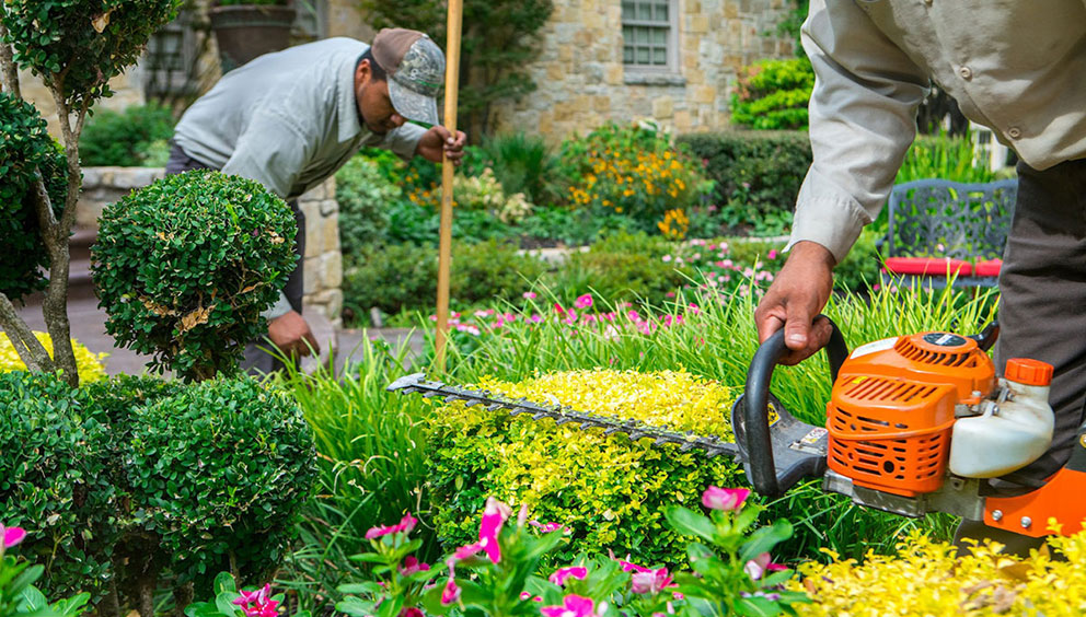 Grow Your Brand with Tampa’s Premier Commercial Landscaping