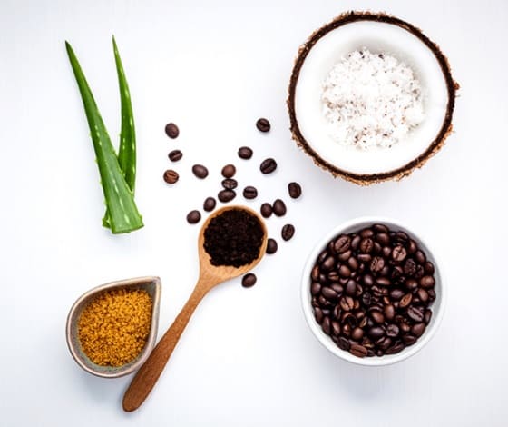 Leading Herbal Extract Manufacturer & Supplier – Herbal Creations