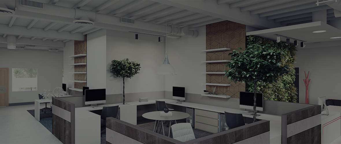 Innovative Applications of Plywood for Modern Office Partitioning