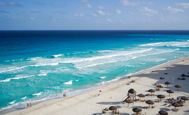A Food Lover’s Guide to Mexico: From Tacos to Tequila