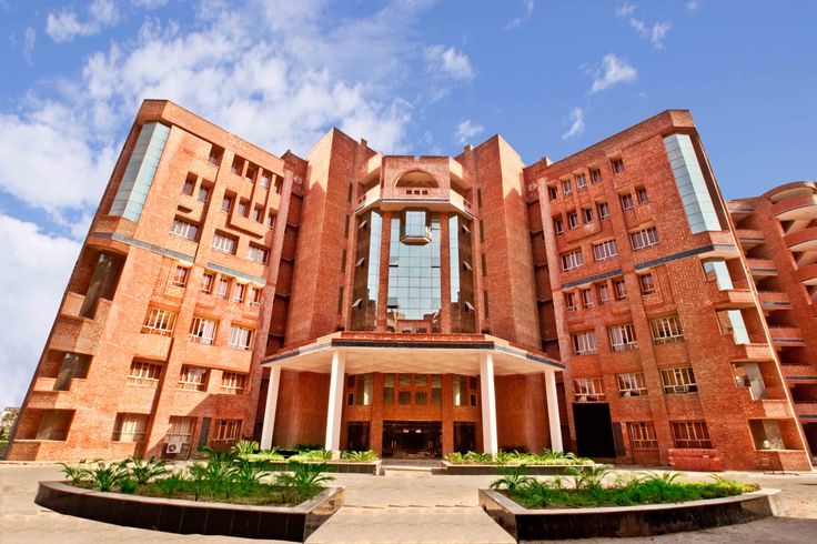 Build Your Future In Business With Top BBA Colleges In India