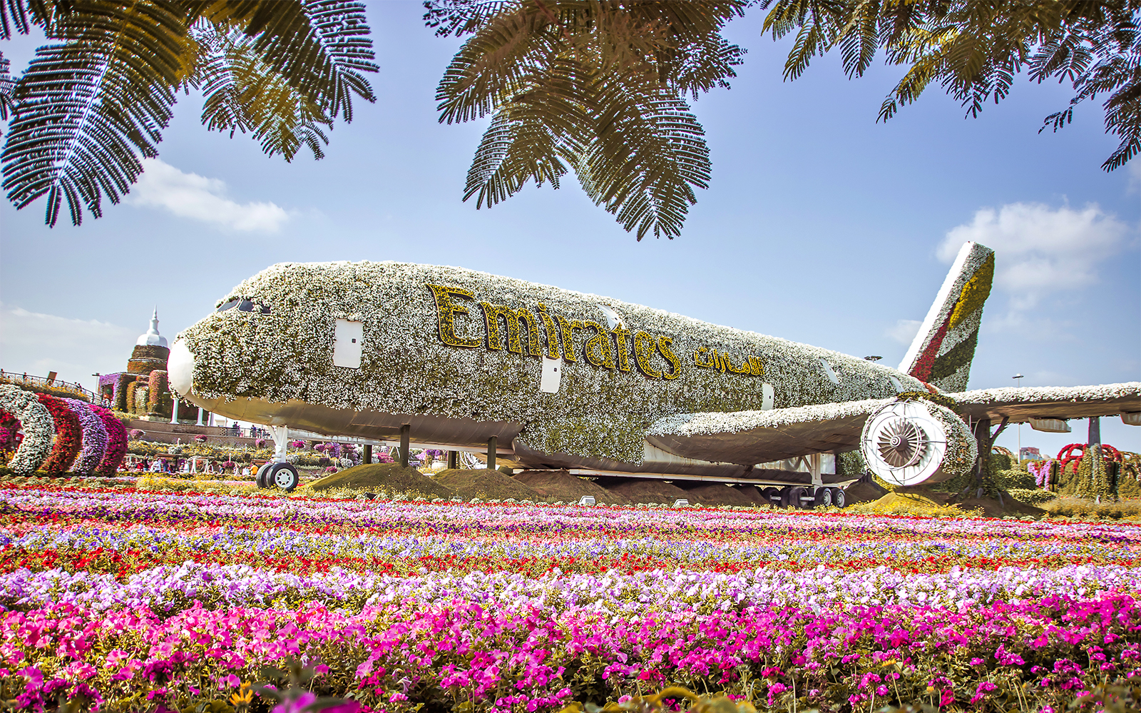 Miracle Garden Dubai Tickets, Timings & Tour Tips for Visitors