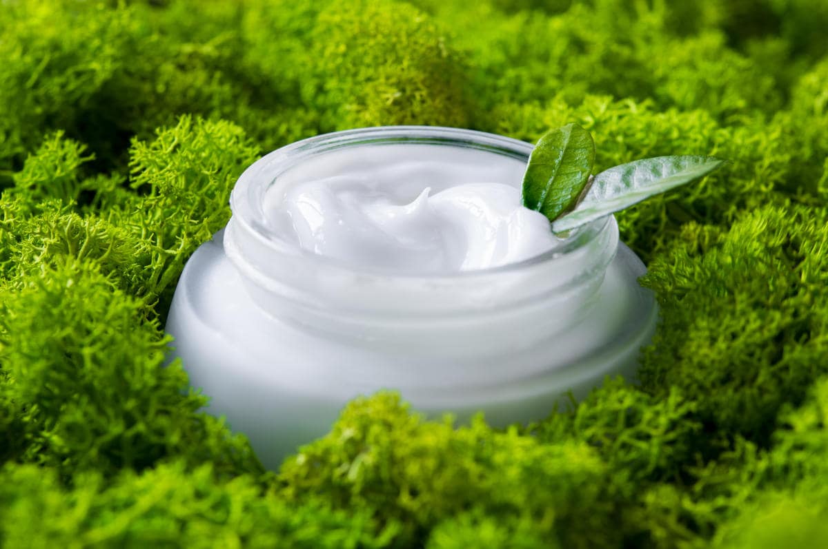 Natural & Organic Cosmetics Manufacturing Plant Report 2025: Project Economics, Setup Cost and Requirements