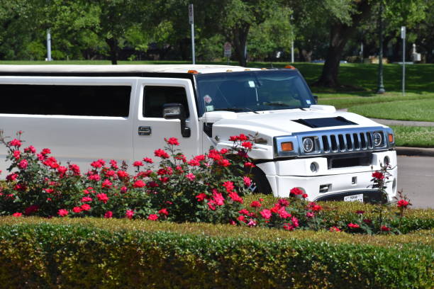 How to Choose the Best Napa Limo Service