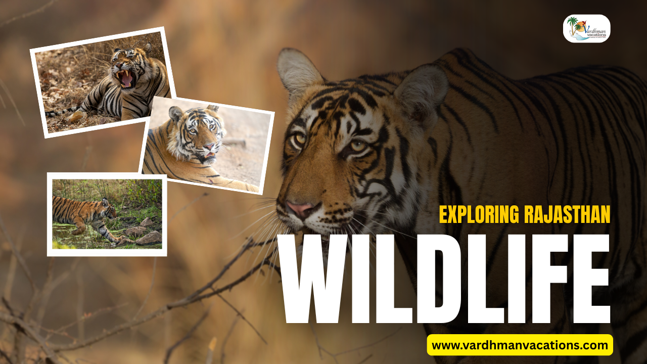 Rajasthan Wildlife Tour: Experience the Natural Beauty of India