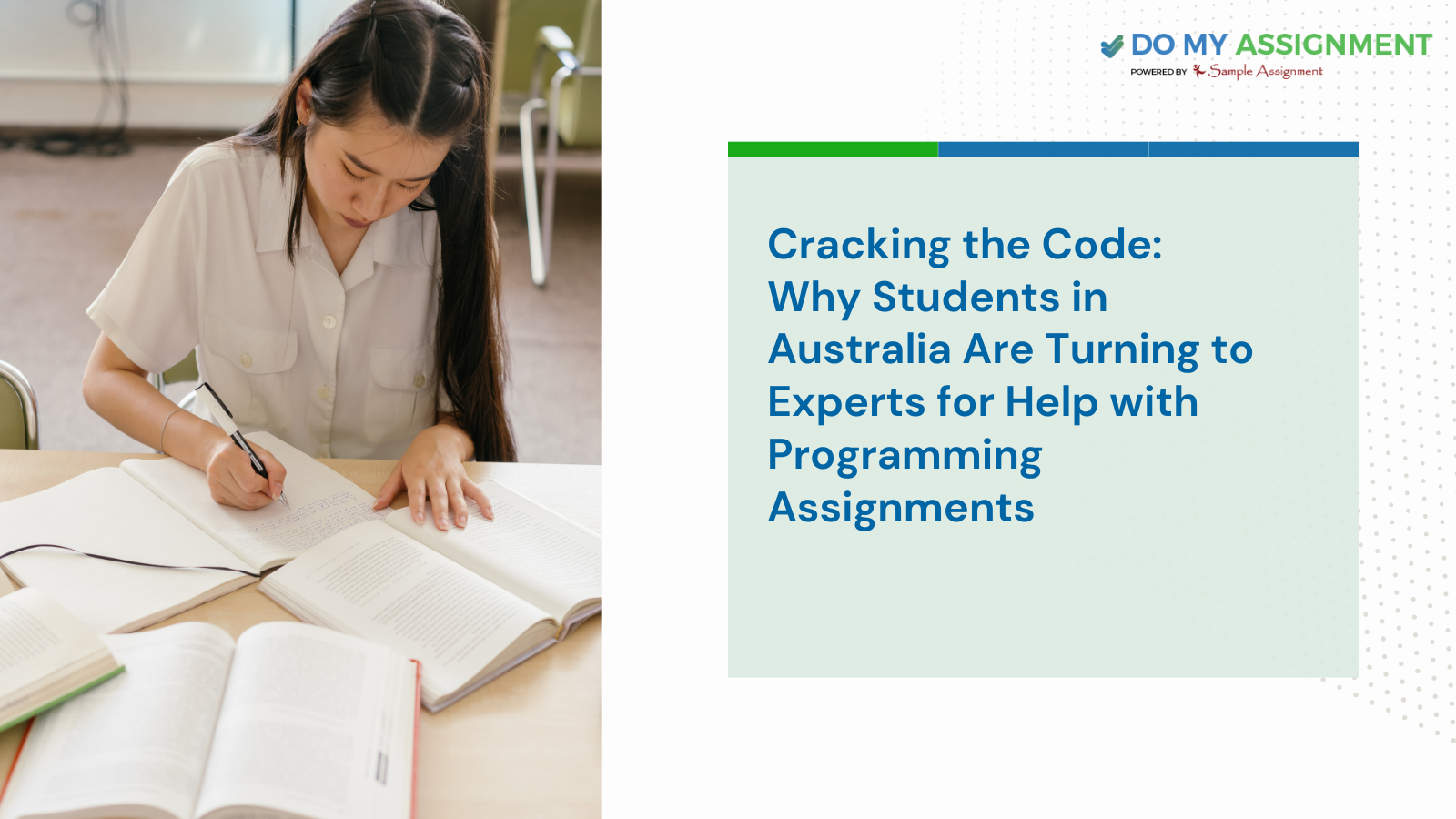 Cracking the Code: Why Students in Australia Are Turning to Experts for Help with Programming Assignments