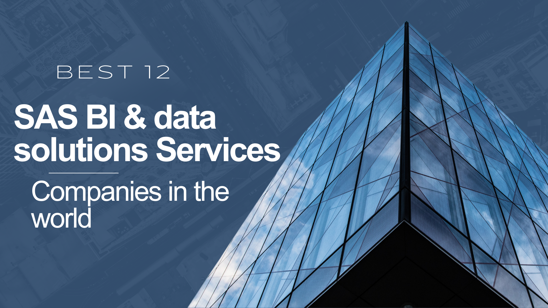 Best 12 SAS BI & data solutions Services companies in the world