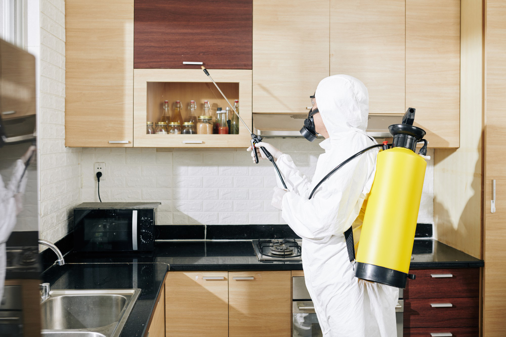 Wood-Eating Bugs At Home: How to Identify & Get Rid of Them!