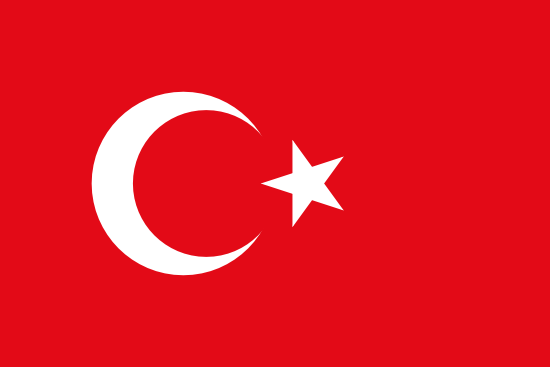 Visa d'Affaires pour la Turquie : Obtenez Votre eVisa en Ligne Facilement