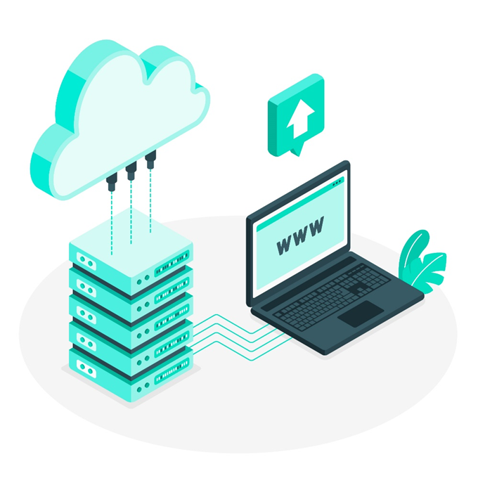 How to Choose the Right VPS Plan for Your Website or Application?