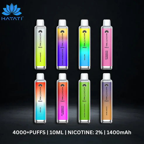 Hayati Pro Max 4000 Box of 10 – Smooth & Flavorful Puffs
