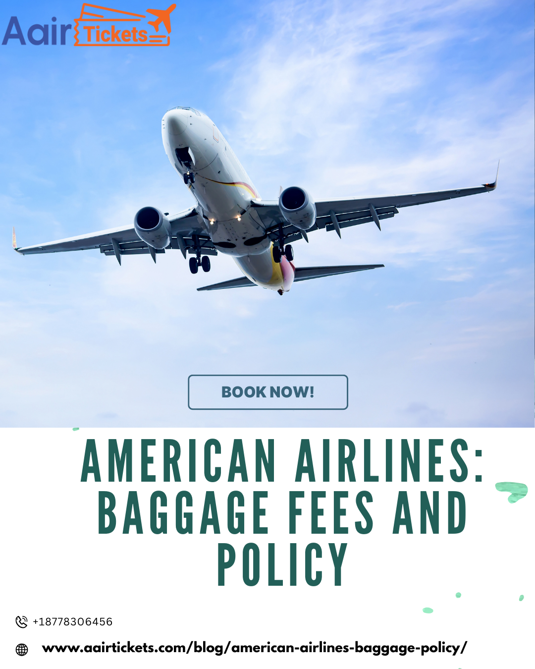 American Airlines: Baggage Fees and Policy