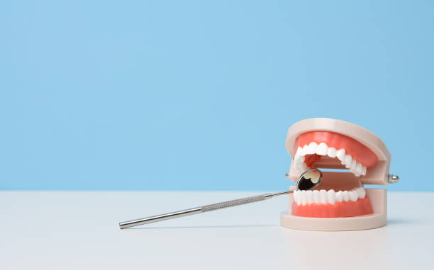 Periodontal Maintenance: The Key to Better Oral Health