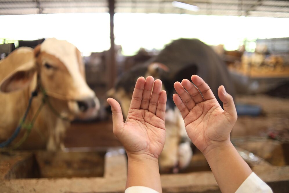 Eid ul Adha Qurbani 2025: A Time for Sacrifice
