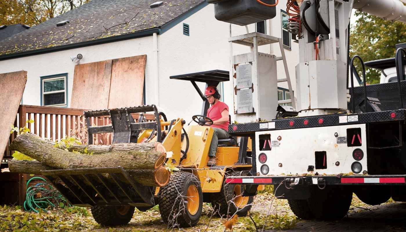 When Tree Removal Is the Right Move for the Environment