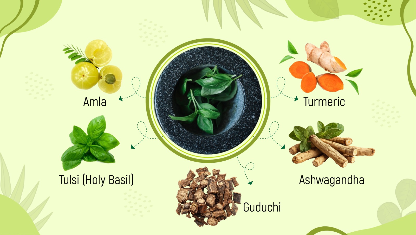 Top 5 Ayurvedic Herbs for Immunity During Seasonal Changes