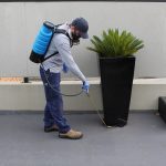 Safeguarding Adelaide Homes: The Importance of Professional Pest Control Services