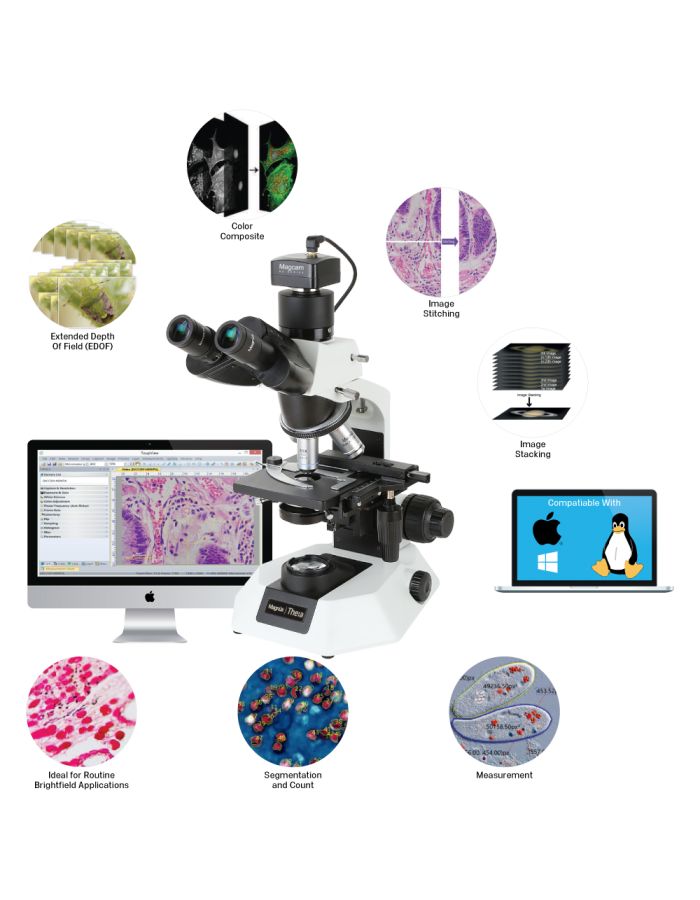 Revolutionizing Microscopy: How Magvision Software Enhances Imaging Precision