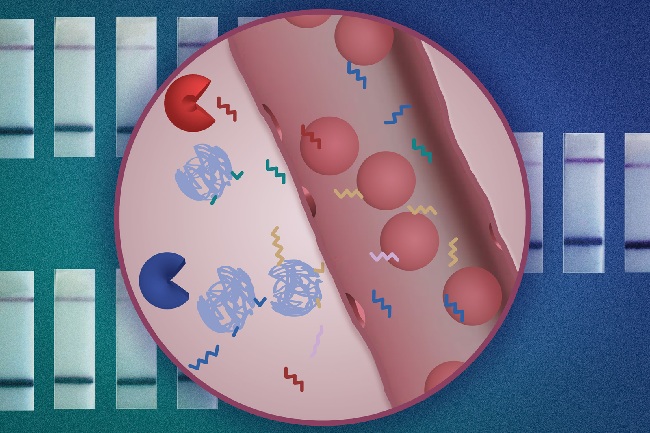 Unlocking the Future of Health: How Cancer Diagnostics Are Saving Lives