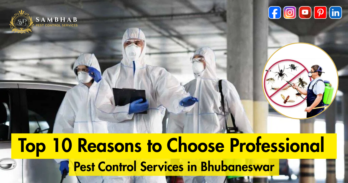 Top 10 Reasons to Choose Professional Pest Control Services