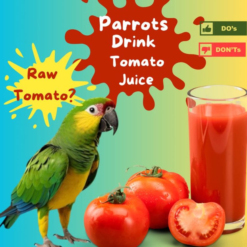 Is Tomatoes Bad For Parrot? Yes Or No