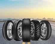 Inside Apollo Tyres’ Sustainability Push: A Green Roadmap for the Future