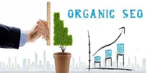 Drive Long-Term Traffic Growth with Proven Organic SEO Services
