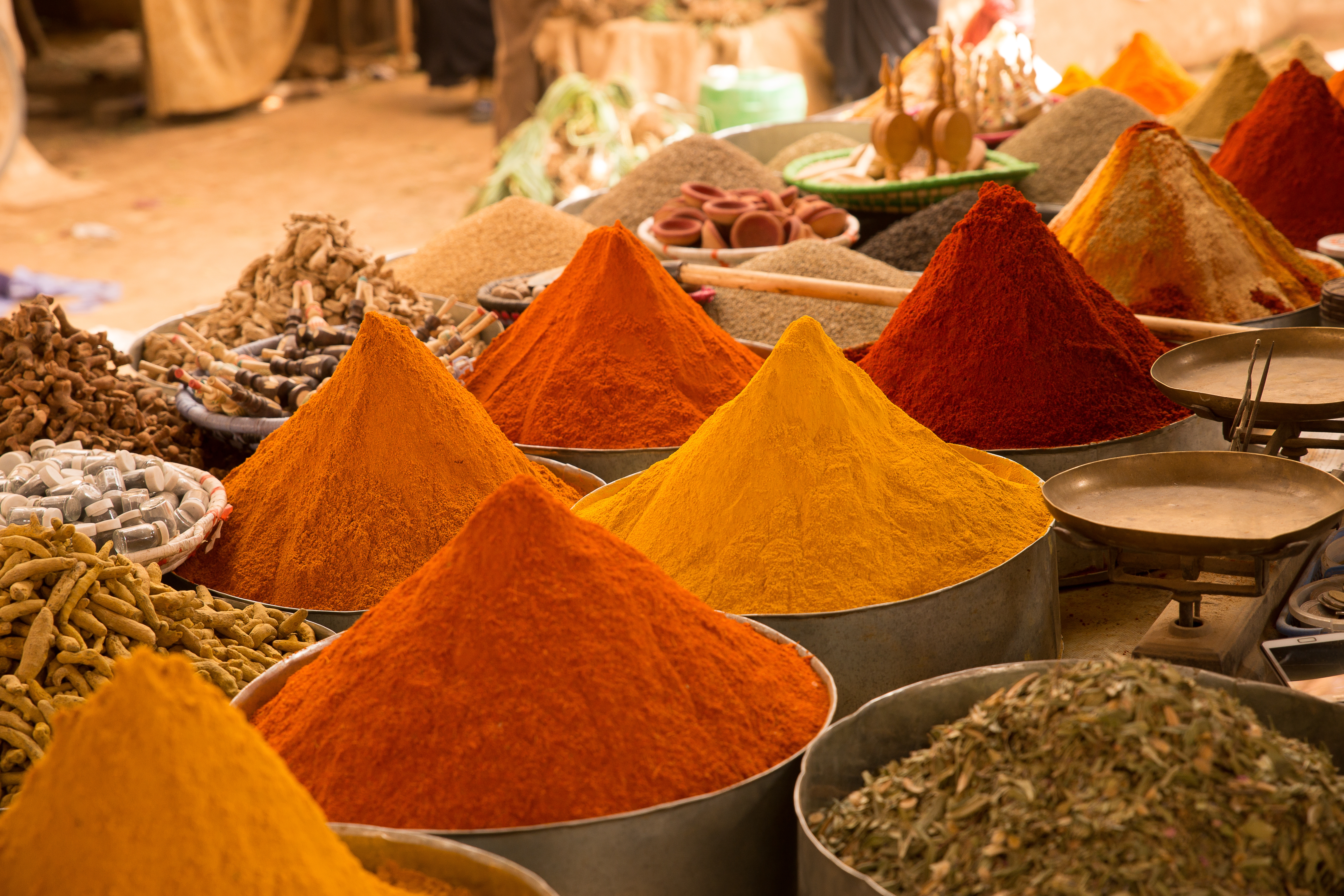How to Choose Indian Masala Blends: A Flavorful Guide for Every Kitchen