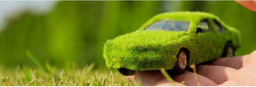 Eco Car Disposal: Get Paid the Green Way