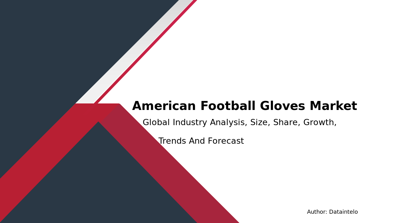 Predicting the Future of American Football Gloves Industry 2032