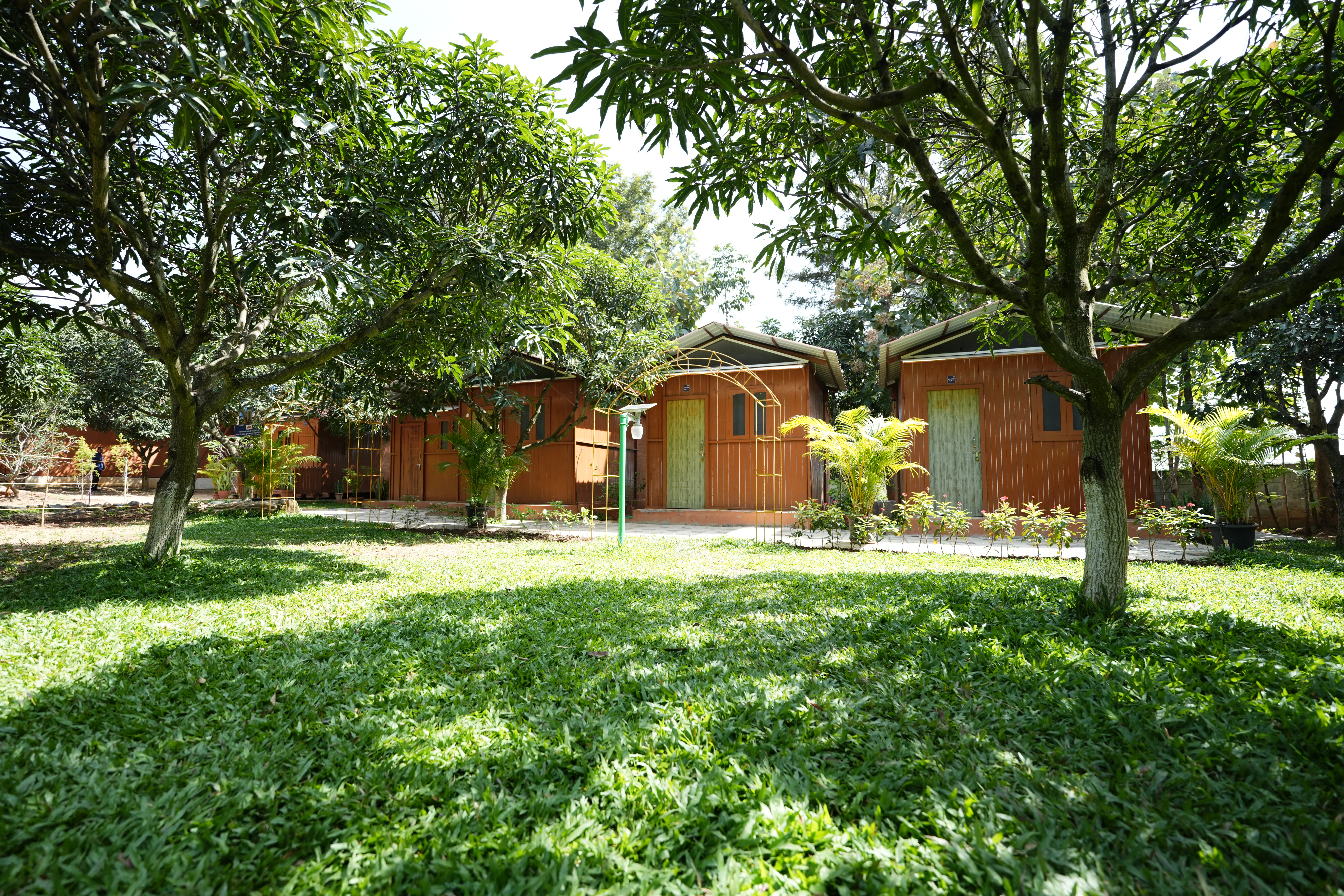 Relive Summer&rsquo;s Sweetest Memories at Suggee Resort&rsquo;s Mango May Festival